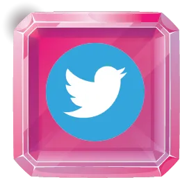 icon twitter
